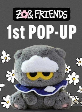 可爱灰色ZOA权志龙小猫联名毛绒玩具钥匙挂件公仔玩偶周边摆件