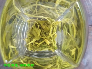 四川成都茶文化2025年新春季绿茶叶素毛峰乐山沐川高山茶500g包邮