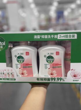 2700ml抑菌洗手液多香型全家可用