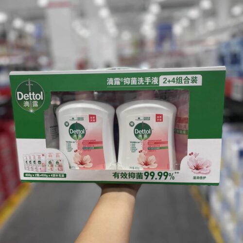 2700ml抑菌洗手液多香型全家可用