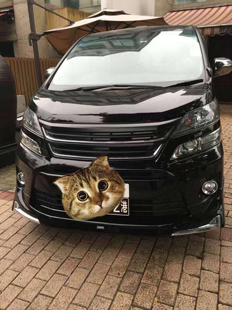 VELLFIRE 20系前期改后期带灯中网车头蒙娜丽沙款大包围前唇