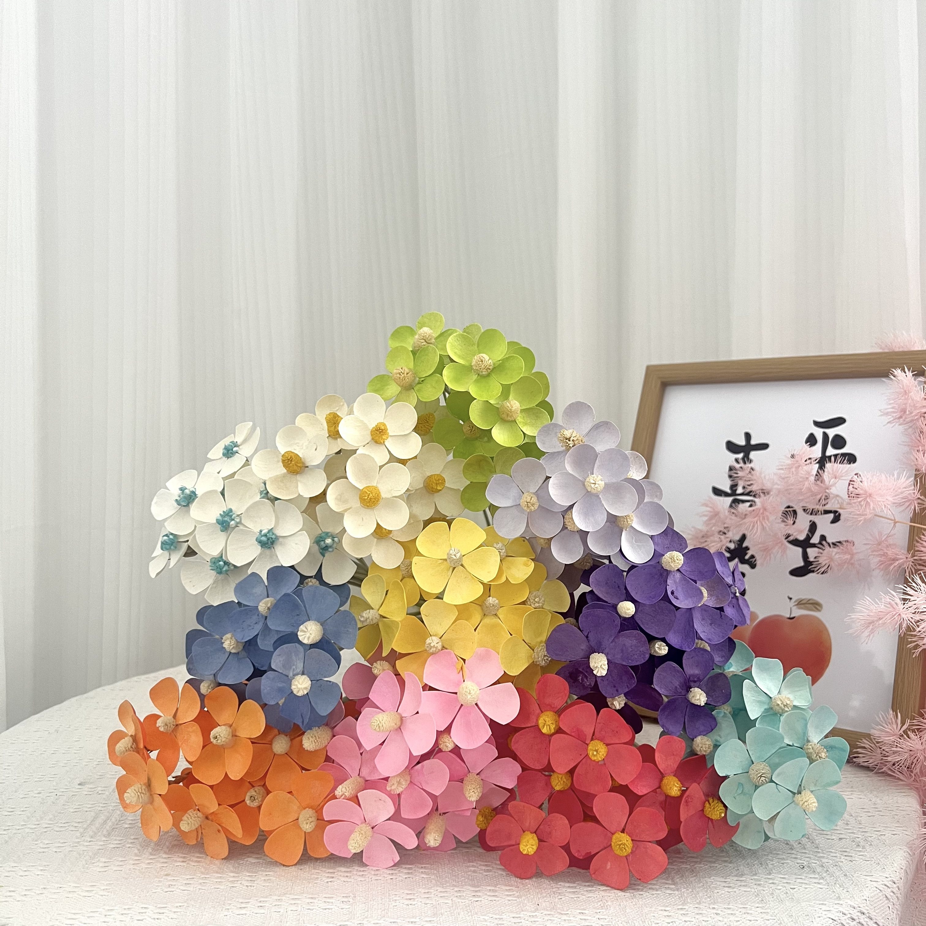云南天然干花白色永生紫罗兰永生花蝴蝶兰家居软装花瓶插花五瓣花