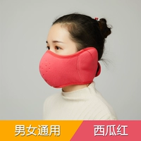 Трехмерная маска может быть скорректирован средний код арбуза красного