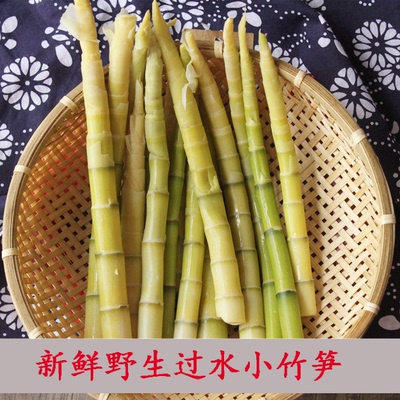 湘西特产 小竹笋新鲜小春笋农家雷笋丝火锅笋子笋片野生野菜500g