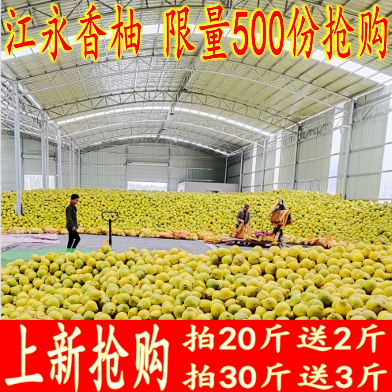 江永香柚冰糖柚比容县沙田柚更甜纯甜柚子湖南永州特产多省包邮