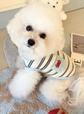 夏季宠物衣服弹力吊带薄款泰迪比熊博美猫咪小狗狗背心休闲芭比风
