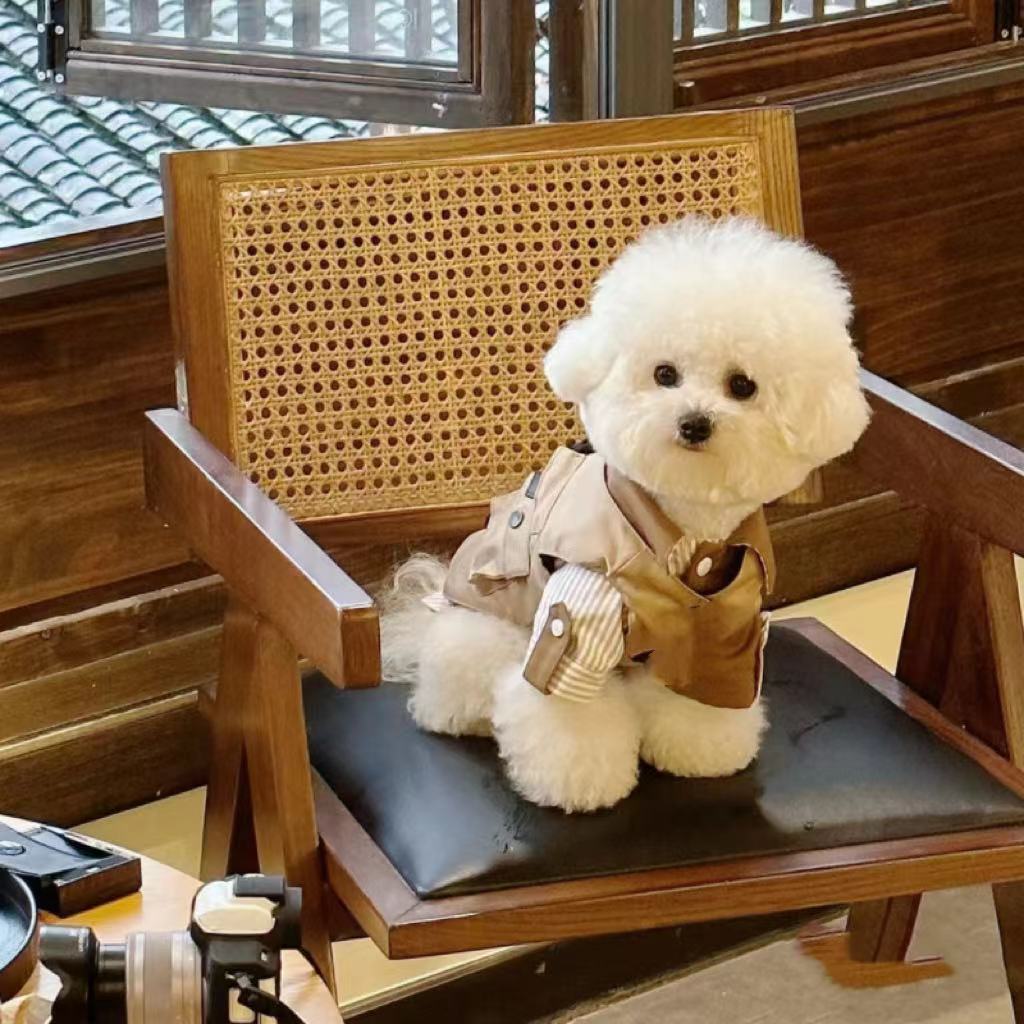 狗狗衣服春夏日系工装马甲背心宠物可牵引雪纳瑞比熊柴犬潮工外套