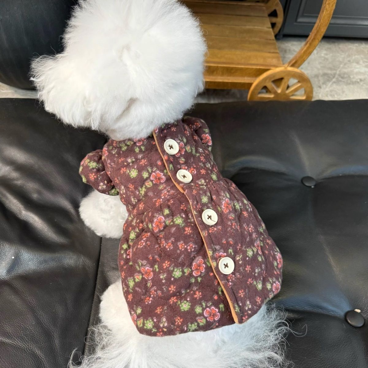 宠物衣服秋冬新款碎花夹棉加绒开衫裙子狗狗猫外套