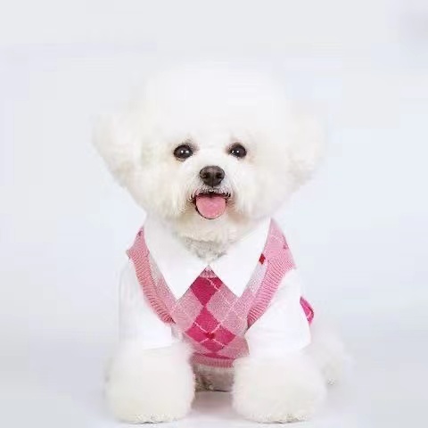 秋季小型犬雪纳瑞衣服