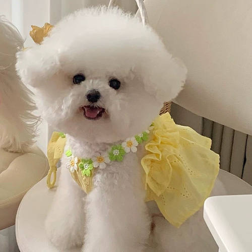 宠物衣服春夏秋薄款韩风花朵吊带裙提花刺绣夏日甜美明媚