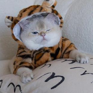 新款 两脚加绒保暖贵宾小狗两腿猫搞笑 秋冬宠物衣服老虎豹纹变身装