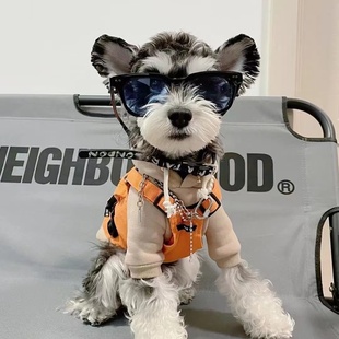 狗狗衣服春秋款 马甲服饰 法斗雪纳瑞比熊泰迪柴犬西高地宠物潮工装