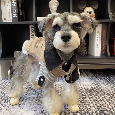 狗狗衣服四季通穿工装马甲背心宠物可牵引雪纳瑞比熊柴犬潮工外套