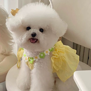 宠物衣服春夏秋薄款 韩风花朵吊带裙提花刺绣夏日甜美明媚