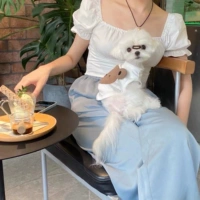 Корейский стиль INS Стиль милый медвежь