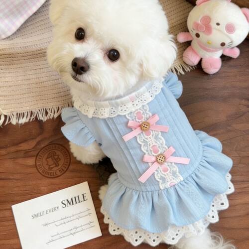 宠物春夏超甜小裙狗狗猫咪小型泰迪比熊马尔济斯衣服