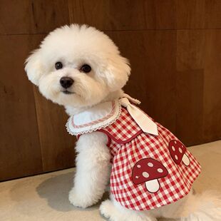 狗狗宠物衣服洋气夏秋季 猫咪格子 娃娃连衣裙泰迪比熊蘑菇头时尚