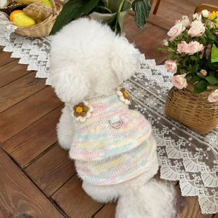 宠物衣服秋冬新款 彩色针织毛衣吊带裙狗狗猫咪保暖毛衣