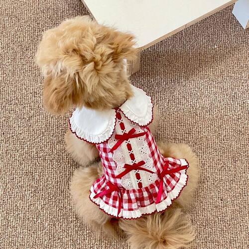 狗狗猫咪春夏秋薄款格子裙子连衣裙小型犬狗狗衣服比熊复古衬衫裙