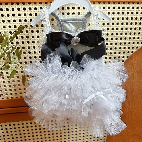 宠物马尔济斯比熊约克夏泰迪幼犬超小体裙子猫咪狗狗衣服夏季薄款