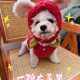 比熊秋冬款 狗狗宠物苹果装 约克夏马尔济斯泰迪柴犬小型犬可爱韩版