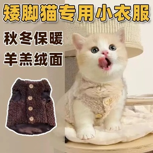 曼基康矮脚猫咪专用衣服秋冬装保暖背心宠物拿破仑短腿米努特猫衣