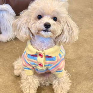 狗狗秋冬新款 约克夏背心彩虹毛衣比熊雪纳瑞针织马甲马尔济斯