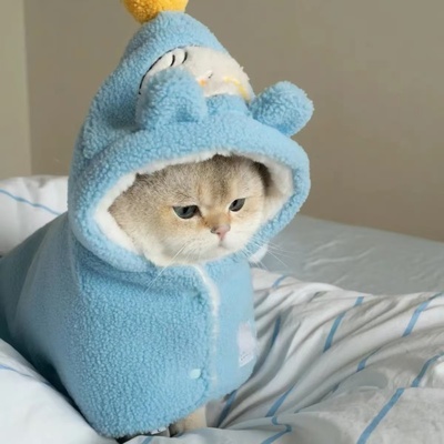 宠物比熊博美小型犬小狗泰迪狗狗衣服秋冬装睡袍睡衣家居服小被子