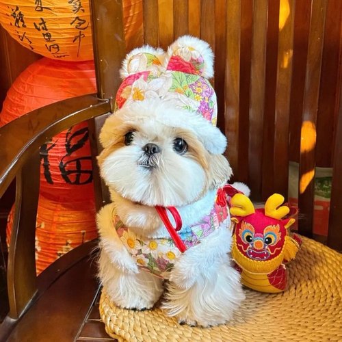 新年喜庆衣服狗狗唐装冬季加厚保暖宠物猫咪泰迪比过年熊过汉服