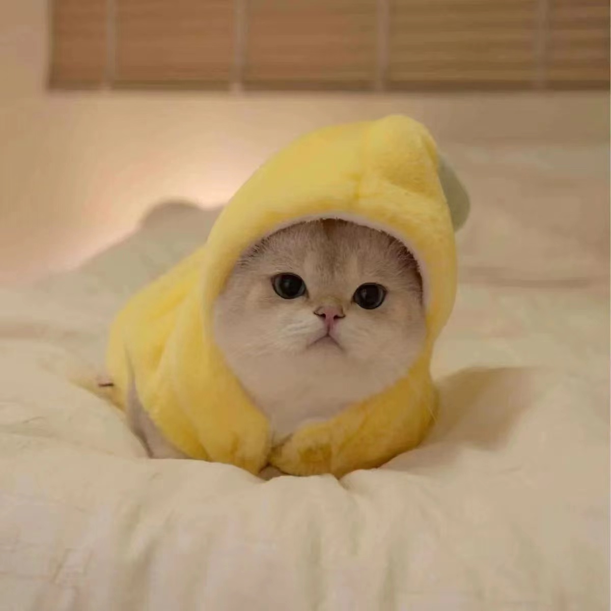 外套通用搞怪香蕉变身装毛绒绒