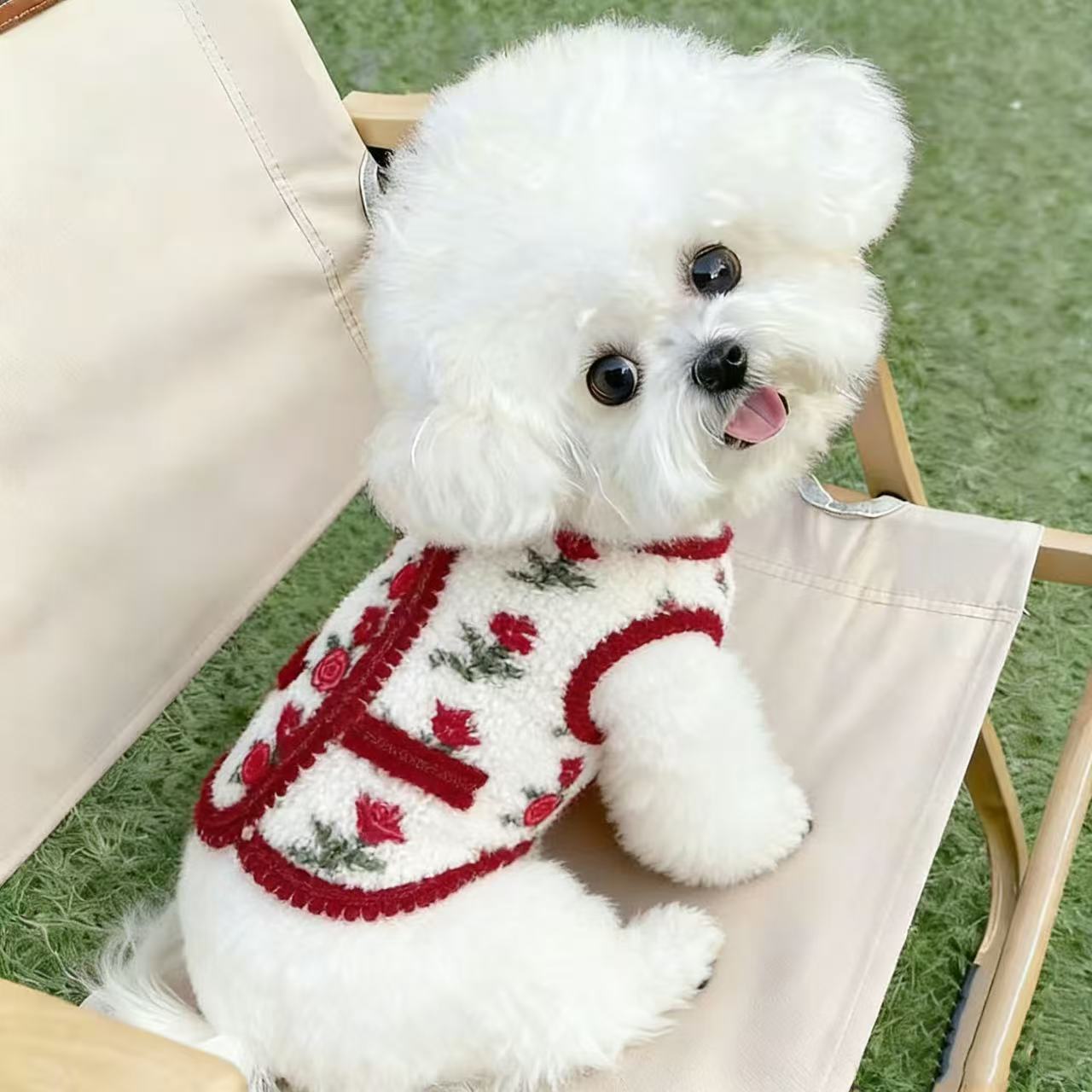 过年喜庆秋冬新款双面毛绒加厚开衫马甲泰迪比熊狗狗猫咪加绒外套