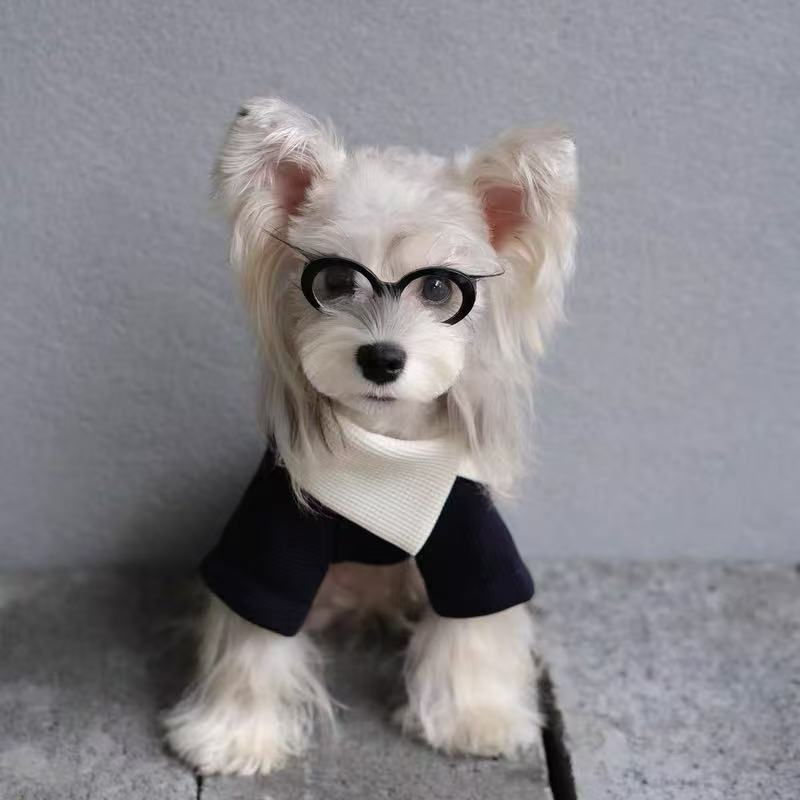 复古卫衣狗狗衣服2025新款秋季小型犬泰迪比熊雪纳瑞宠物幼犬服装