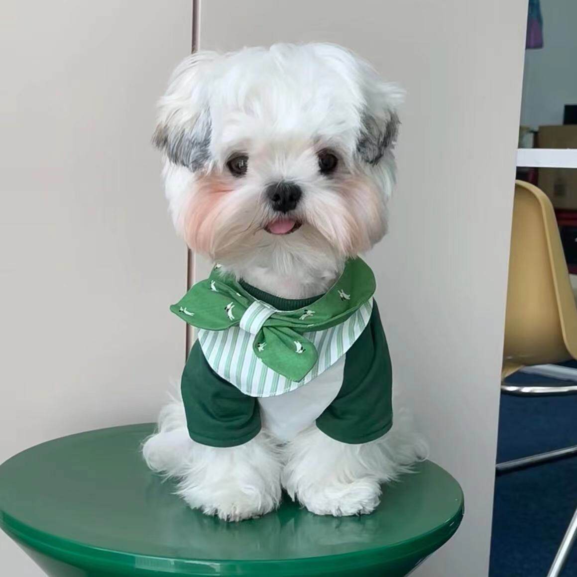 超萌狗狗口水巾卡通可爱围兜小型犬泰迪比熊装饰饰品猫咪围脖