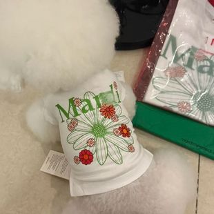 宠物猫狗衣服夏季 两脚衣小型犬泰迪比熊雪纳瑞 薄款