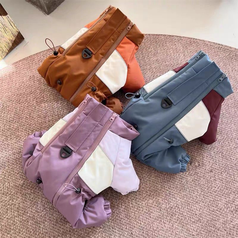 冬天可爱棉衣狗狗小型犬泰迪宠物加厚比熊网红春秋保暖衣服四脚