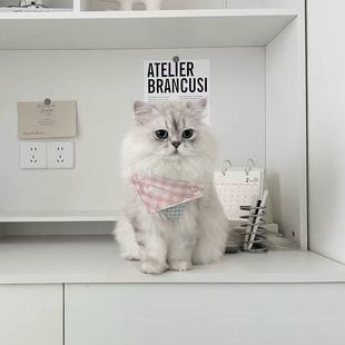 猫咪狗可爱围兜宠物蕾丝布艺口水巾手工编织拍照饰品围脖装 饰项圈