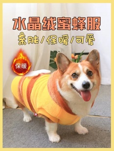 加厚柯基泰迪网红冬天保暖秋冬装 冬装 秋款 宠物狗狗衣服秋冬服装