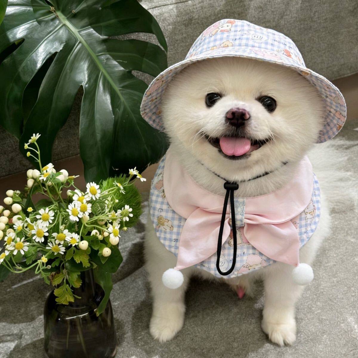 狗狗猫咪宠物围兜口水巾蓝色格子粉色蝴蝶结可爱拍照装饰百搭三角