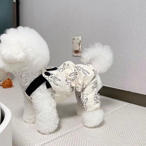 背带裤小型犬INS潮流休闲