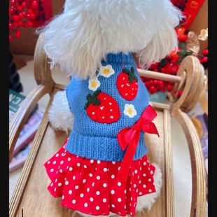 宠物比熊秋冬新款 小型犬加莓莓毛衣公主裙泰迪猫咪衣服狗狗保暖