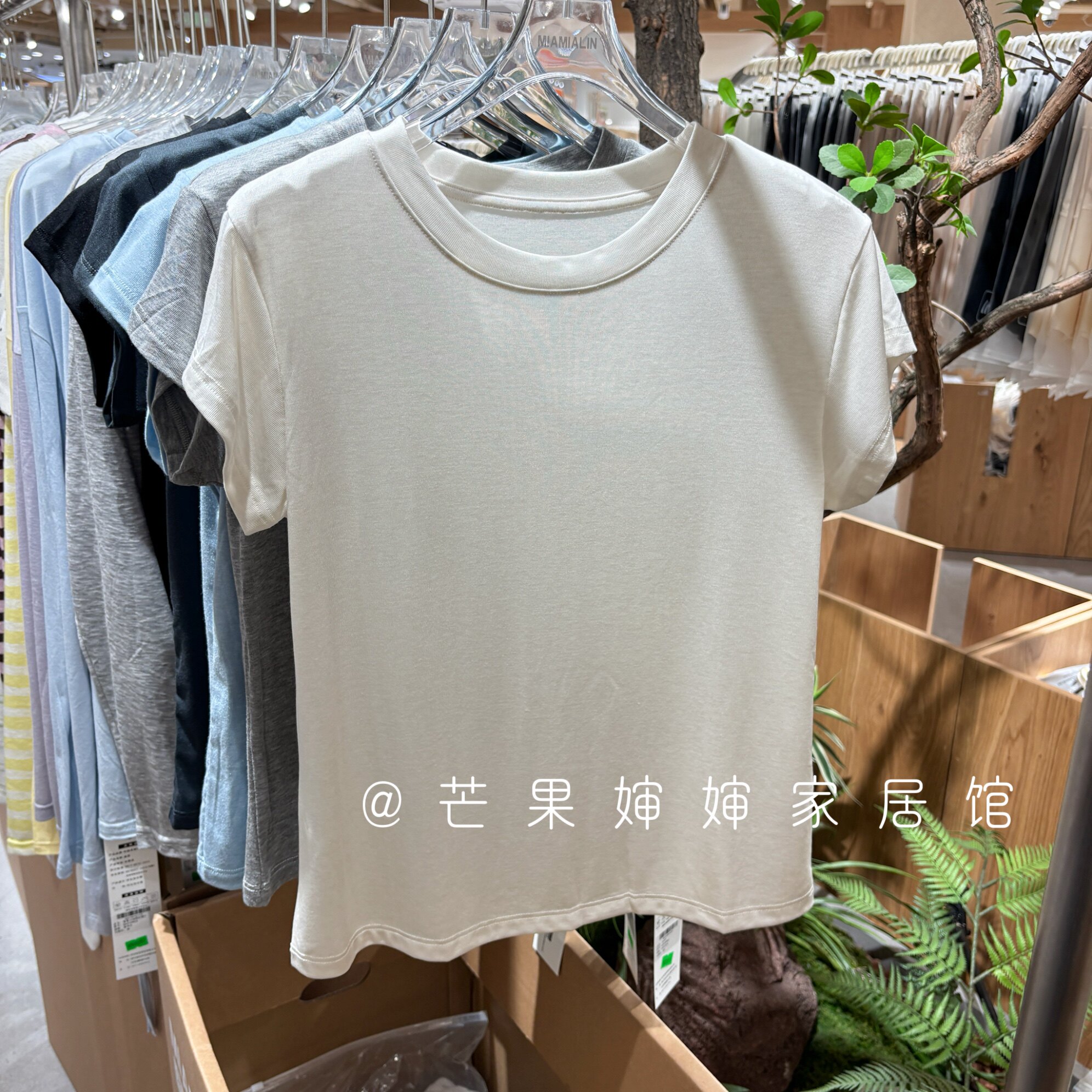 档口羊毛天丝小圆领简约短袖T恤女夏季修身显瘦百搭上衣微胖穿搭