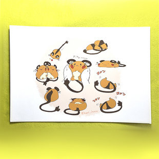 绮丽屋日本动漫周边口袋妖怪精灵宝可梦咚咚鼠高光覆膜贴纸满包邮