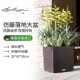Lechuza德国进口花盆自吸水绿植仿藤大号室内外落地储水cube
