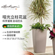 Lechuza德国进口花盆自上水落地方形欧式 绿植客厅树脂cubico