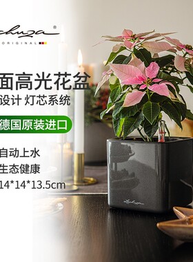 Lechuza德国进口绿植花盆桌面窗台墙面壁挂创意懒人组合cube 14