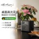 Lechuza德国进口绿植花盆桌面窗台墙面壁挂创意懒人组合cube