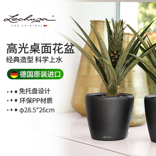 树脂欧式简约自动上水功能