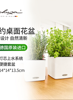 Lechuza德国进口花盆吸水树脂家用桌面懒人储水创意仿藤cube 14