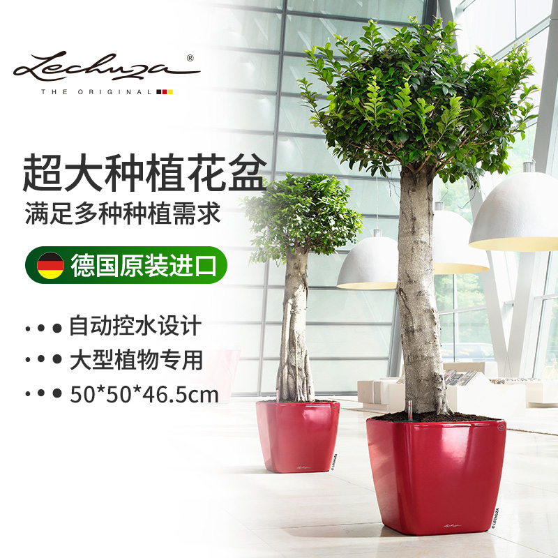 德国进口自动吸水办公室树脂