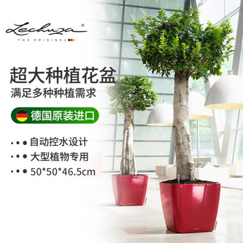 德国进口自动吸水办公室树脂